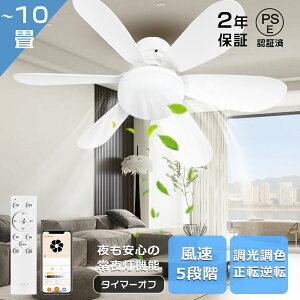 t@tV[OCg LEDV[Ot@Cg 6 8 10 ANTΉ T[L[^[  ^C}[ googlez[ AvΉ Rt LEDV[Ot@v DC