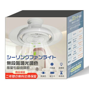 2Nۏ؁t@tV[OCg 8 10 12 U ʏ gC y ^ V @ DC[^[ É Ǌ| LED V[Ot@Cg V[OCg \Pbg F 