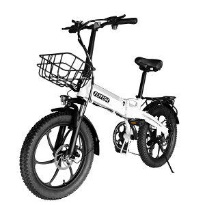 �y�|�C���g10�{�z FLYFISH 20�C���`�d���A�V�X�g���]�� �܂肽���݉\ 350W���̓��[�^�[ �V�}�m7�i�ϑ� �ő呖�s����80km 2���s���[�h �h�Ɠo�^ �^���F��� �������s�\ �t�@�b�g�^�C�� ���n�`