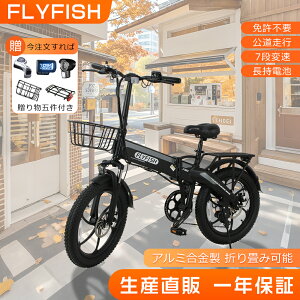 �y�|�C���g10�{�z FLYFISH 20�C���`�d���A�V�X�g���]�� �܂肽���݉\ 350W���̓��[�^�[ �V�}�m7�i�ϑ� �ő呖�s����100km 2���s���[�h �h�Ɠo�^ �^���F��� �������s�\ �t�@�b�g�^�C�� ���n�`