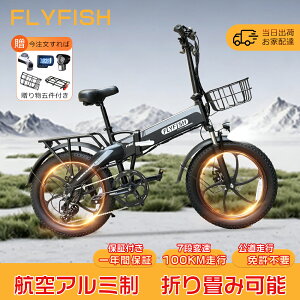 �y���[���i ���������z �d�����]�� 20�C���` �V�}�m �ϑ� ���C�g �o�b�e���[ ���]�� �d���A�V�X�g���]�� �^���F�� �ʊw �������� �l�C �����i �܂肽���݉\ 20�C���` �ő呖�s����100km ���a