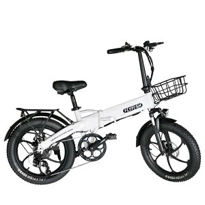 yyVňEzy^FlzFLYFISH dAVXg] 20C` d܂肽ݎ]  \ 2way[h NXoCN JSt EBIKE }EeoCN 20C` j