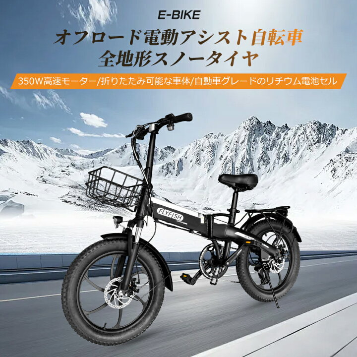 楽天市場】【10000円OFF☆マラソン限定】【型式認定獲得】FLYFISH 電動 
