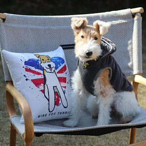 &g�b�A���h�W�[ �I���W�i��-���C���[�t�H�b�N�X�e���A �N�b�V�����J�o�[