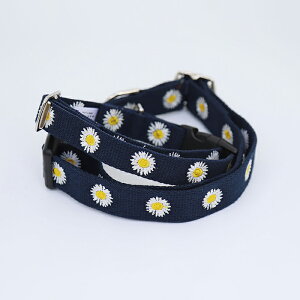  GEORGEbW[WyfCW[J[z ^ ^ ^   킢 Vv J[ V[gJ[ 􂦂  v