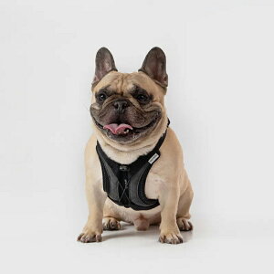 n[lX SPUTNIKbXv[gjNyUltra Explore Harness / UXn[lX / ubNz ^ ^ ^   킢 Ȃ EȒP