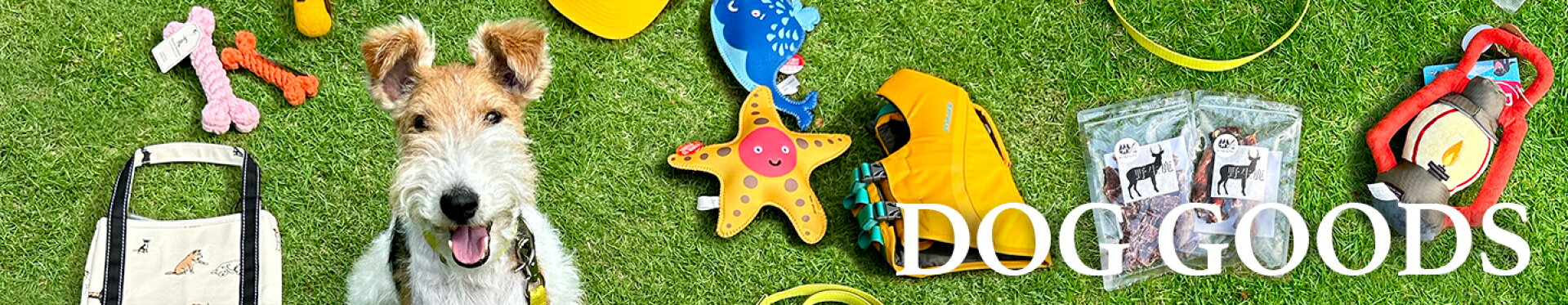 DOG GOODS 犬用品