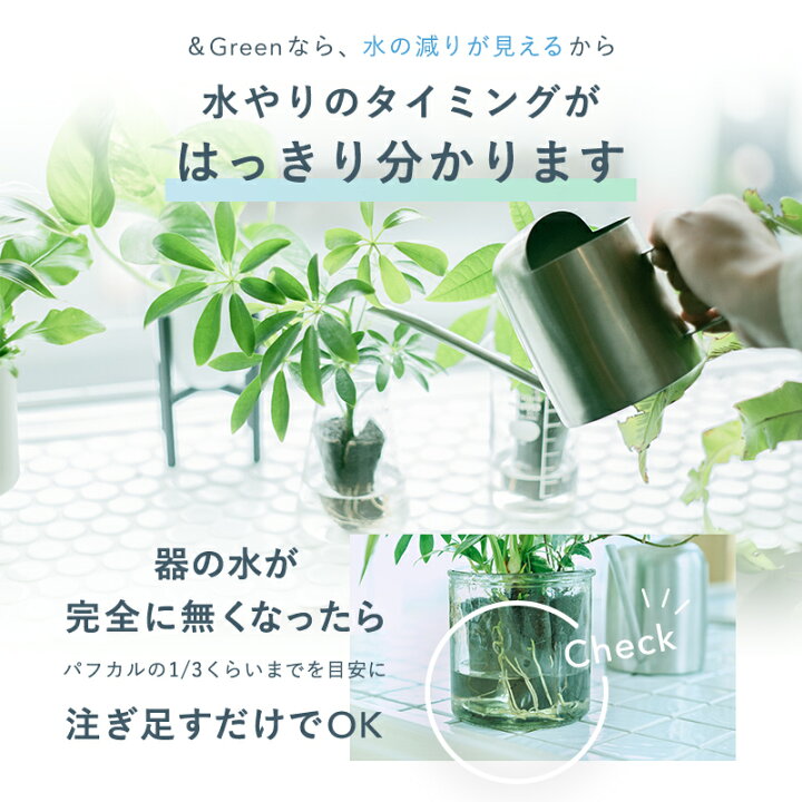 楽天市場】【植物3つとOriginal Potのセット】土を使わない &Green 