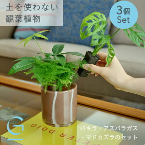 ypLEAXpKXE}hJỸZbgzygȂ &Green AhO[ bȒP qI AW ~j ϗtA   S  ȒP I k 3  