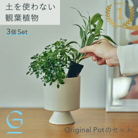 【植物3つとOriginal Potのセット】土を使わない &Green アンドグリーン お世話が簡単 衛生的 アレンジ自在 ミニ 観葉植物 小さい おしゃれ 初心者 手入れ 簡単 棚 北欧 3号 卓上 デスク リビング インテリア ギフト お祝い 開業祝い 引っ越し祝 新築祝 御中元 夏ギフト