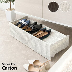 ʔ[S 80cm V[YJ[g Carton V[YbN LX^[t X RpNg Ԏ[ 8[ C o [bN   ֎[ ȃXy[X C