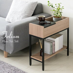 v^[X^h v^[TChe[u Folium 50cm v^[bN v^[ t[bN rt ؖ TChe[u X`[   t[X^h u 