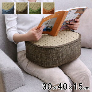  X}zNbV 났 bNX X}z  RۖhL  L C Vv ѐRoK[hgp 30×40×15cm VRf  炳  ȒP 