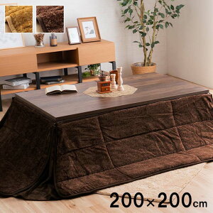 ȃXy[X zc |ѕzt ` n 􂦂 200×200cm RۖhL LeBO |   zc |zc ȃGl ߓd΍ g  RpNg  