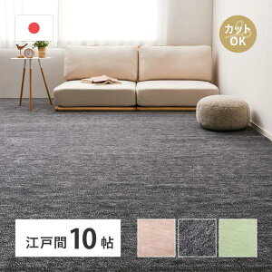 敷き詰めカーペット ラウム 江戸間10帖 10畳 フリーカット ペット 犬 猫 平織 シンプル 切れる 日本製 ホットカーペット 床暖房対応 オールシーズン おしゃれ