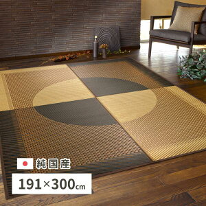 Y O  191×300cm Z^[O ANZgO _ Vv J[ybg RJr L ̕ی ւ Jo[  {