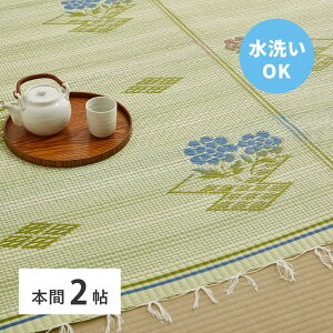 􂦂邢J[ybg #110 {2 􂦂 ybg q ~ ~l J[ybg O  ̕ی ւ Jo[  a_ `