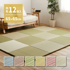 F12Zbg u э  65×65×2.5cm 12 Ȃ ւȂ tA jbg Jt  ~ߕt RJr L Չ h΍