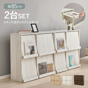 �f�B�X�v���C���b�N 2��Z�b�g �t���b�v�� �{�I ��85cm ���s35cm ����85cm �X���� �ؖ� A4�t�@�C�� �V�F���t ��e�� ���[�I ����I ���r���O���[ �X�^�C���b�V�� ���_�� ������� �� �u���E�� �i