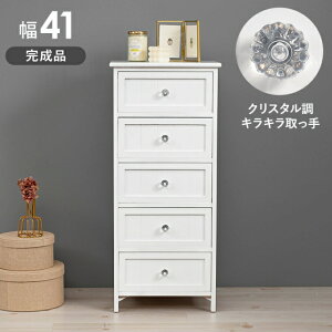 i `FXg 5i 41cm NX^ tF~j h[ Tj^[ ʏ rO [Ƌ y ˍ ؐ ^X _X  t@bNX FAX o 킢