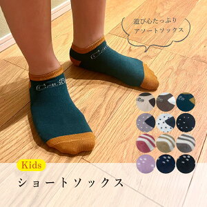 \bNX  C LbYԂV[g\bNX LbY qǂ ǂ q V[g Z  Ԃ ~ S S  킢 IV  JWA 