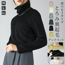 カットソー レディース やみつき極暖カットソー トップス 長袖 ひまわりオイル 裏起毛 あったか 暖かい 防寒 冷え性対策 寒さ対策 ふんわり 優しい シンプル 無地 重ね着 レイヤード ストレッチ 秋 冬 M L LL メール便10