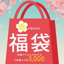 春の詰め込み福袋！5000円ポッキリ 福袋 ポッキリ レディース ファッション ss 春物 春服 夏物 夏服 セール SALE 送料…