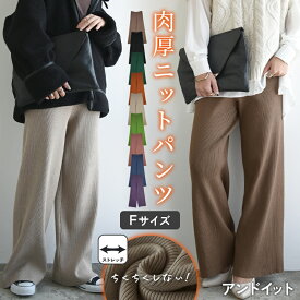 パンツ レディース ボトムス セミワイドリブニットパンツ ワイドパンツ イージーパンツ ニットパンツ リブニット セミワイド 暖かい 防寒対策 洗える 春 秋 冬 ブラウン ブラック ベージュ グリーン F メール便不可