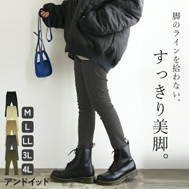 スキニー スキニーパンツ レディース すっきり美脚パンツ ツイルパンツ ストレッチ 伸縮性 動きやすい 春夏秋冬 綿混 ウエストゴム スリム 美脚 すっきり 綿 コットン チノパン 黒 M L LL 3L 4L メール便10