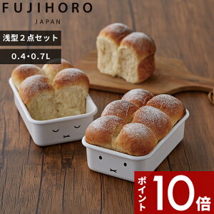 【レビュー特典】 富士ホーロー 〔 ミッフィーフェイスシリーズ 浅型角容器2点セット 〕 ミッフィー 保存容器 角型 浅型 Sサイズ Mサイズ 2点セット セット フタ付 密閉下ごしらえ スタッキ