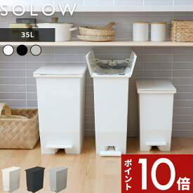 [4/25エントリー&3点購入でP10倍] ゴミ箱 SOLOW「ソロウ ペダルオープンツイン 35L 」 35リットル 抗菌加工 ごみ箱 ごみ ふた付き 蓋付き 蓋つき 両開き 観音開き ペダル付き 足踏み 分別 キッチン 収納 カウンター おしゃれ 公式 GSLW0003 GSLW0004 リス RISU