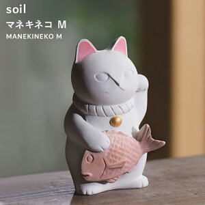 yr[Tz soil k }lLlR M l L ܂˂˂  J^ N u u  RpNg  rO ̊ ]y Rf { G Mtg v[g L496 
