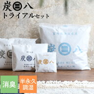 特典付き〔 炭八 8L 選べるトライアルセット 〕お試しセット 繰り返し使える湿気取り 調湿木炭 すみはち …