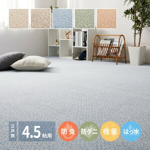 �J�[�y�b�g 4.5�� ������� �h�� �h�� �h�_�j �R�� �h�� �͂��� 700PS �]�ˊ�4.5�� 261×261cm 4.5�� �~���l�߃J�[�y�b�g ���{�� ���イ���� �O�~ ���O ���g�[�Ή� �z�b�g�J�[�y�b�g�Ή� H01