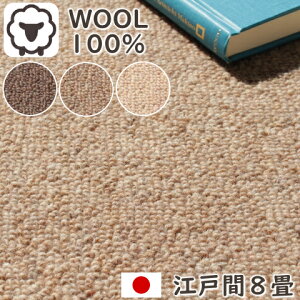 J[ybg 8 E[100 x VRfރE[J[ybg ]ˊ8i352×352cm ۊj { hJ[ybg E[ h zbgJ[ybgΉ g[Ή 3000 O02