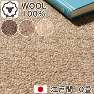 J[ybg 10 E[100 x VRfރE[J[ybg ]ˊ10i352×440cm ۊj { hJ[ybg E[ h zbgJ[ybgΉ g[Ή 3000 O02
