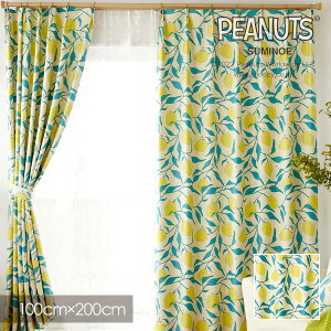ՌJ[e k PEANUTS s[ibc J[e Camp lemon / Lv 100×200cm yՌ2/EHbVu/`L/CG[z