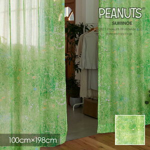 [XJ[e k PEANUTS s[ibc {CJ[e Field voile / tB[h{C 100×198cm yEHbVu/O[z