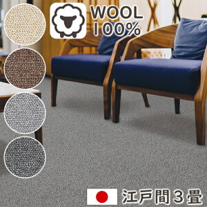 J[ybg 3  E[J[ybg fC ]ˊ3 176×261cm ۊ { E[100 h h R h_j O~ イ O}bg O v[x I[V[YΉ