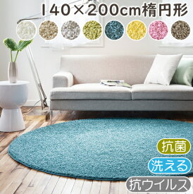 【ポイント17倍★300円OFFクーポン配布中】 ラグ 厚手 カーペット おしゃれ ジャスパープラス 140×200cm楕円形 ラグマット 抗ウイルス 抗菌 防臭 防ダニ プレーベル シャギーラグ 日本製 高級 ナイロン 洗える 長方形 P01 ラグマット 春夏秋冬用 ラグ グレー 秋冬