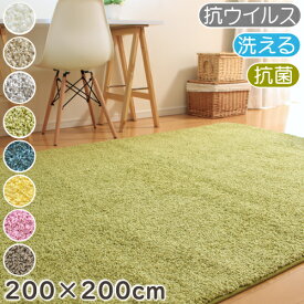 【ポイント17倍★300円OFFクーポン配布中】 ラグ 厚手 カーペット おしゃれ ジャスパープラス 200×200cm 抗ウイルス 抗菌 防臭 防ダニ プレーベル ラグマット シャギーラグ 日本製 高級 ナイロン 洗える 長方形 P01 ラグマット 春夏秋冬用 ラグ 厚手 グレー 秋冬