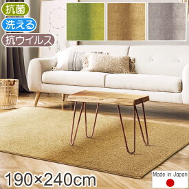 【ポイント17倍★600円OFFクーポン配布中】 ラグ 厚手 ジェミニ 190×240cm 抗ウイルス 抗菌 防臭 防ダニ プレーベル シャギーラグ 日本製 高級 ナイロン 洗える 長方形 P01 ラグマット おしゃれ 春夏秋冬用 ラグ 厚手 グレー 春夏