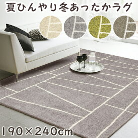 【ポイント20倍★200円OFFクーポン配布中】 ラグ ラグマット 省エネラグ ジオーニ 190×240cm プレーベル カーペット おしゃれ オールシーズン対応 冬あったか 夏ひんやり ナイロン100% ホットカーペット 床暖房対応 P01 ラグマット 春夏秋冬用