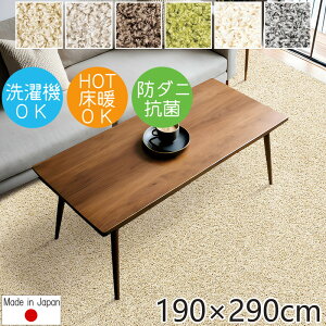 O  􂦂  k O}bg WXp[ 190×290cm v[x J[ybg ` @OK ې R h_j ɂ VM[O {  iC P01 O}bg t