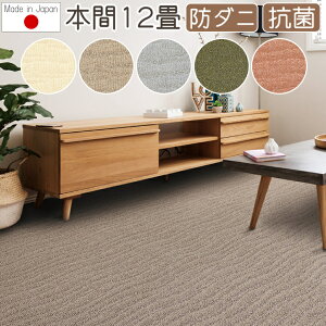 J[ybg 12  [vJ[ybg |[g {12 382×572cm ۊ { R h_j Vіяoɂ O~ イ O}bg O v[x I[V[YΉ zb