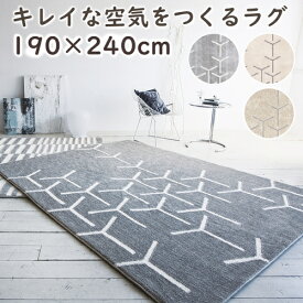 【ポイント17倍★200円OFFクーポン配布中】 ラグ 厚手 ラグマット スコープ 190×240cm 北欧 防音 抗菌 消臭 オールシーズン対応 ホットカーペット対応 床暖房対応 グレー プレーベル カーペット おしゃれ ポリエステル P01 春夏秋冬用