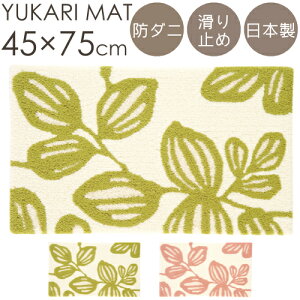 }bg փ}bg  [J}bg 45×75cm X~mG O}bg k i` {^jJ [t h_j ~ { S01