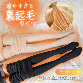 【P10倍 感謝祭最終日！】 裏起毛タイツ 肌色 黒 レディース 1200デニール極暖 あったかタイツ 暖かい 超極暖 着圧 着圧タイツ 裏起毛タイツ肌色 ハイウエスト 細見え 美脚 引締め 防寒 フェイクタイツ ストッキング風 寒さ対策 温かい 裏起毛 タイツ