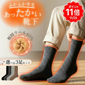 _25 8`P11{I^ C E[ Y g ~    N fB[X E[\bNX Zbg {A   ₦ ӂӂ  ۉ ܂Ƃߔ n 