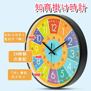 y݌ɏi~؂ꎟIzm玞v Ǌ|v q  m玞v a30cm ₷ 24ԕ\ ⏕t É |v Jt ԊwK kp  CeA  